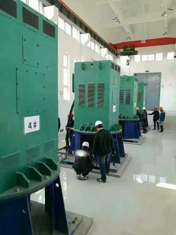 梅列某污水处理厂使用我厂的立式高压电机安装现场